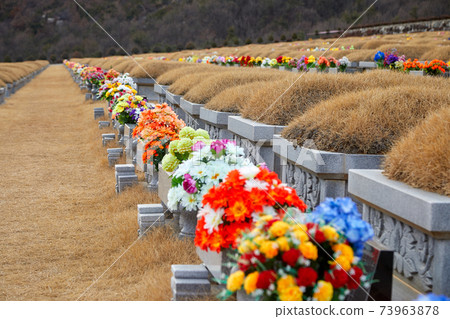 Daejeon Family Park, Park Cemetery, Daejeon Family Park, Park Cemetery, 73963878