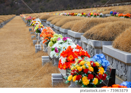 Daejeon Family Park, Park Cemetery, 73963879