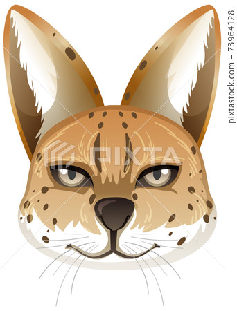 Serval animal isolated on white background 73964128