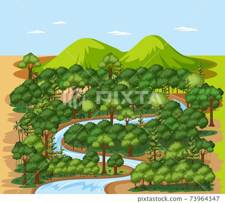 Forest nature landscape scene Forest nature landscape scene 73964347