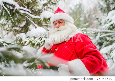 Surprised Santa Claus walks through a snowy coniferous forest at the North Pole in Lapland. Merry Christmas. Postcard. Surprised Santa Claus walks through a snowy coniferous forest at the North Pole in Lapland. Merry Christmas. Postcard. 73964349