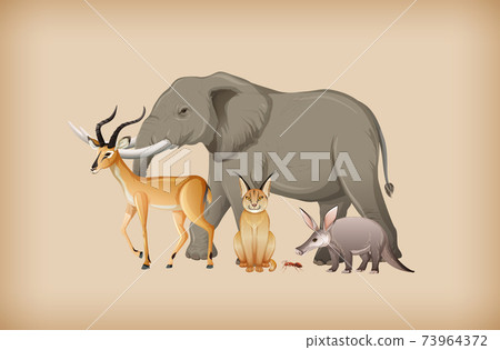 Group of wild animal on background 73964372
