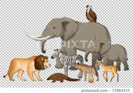Group of wild african animals on transparent background Group of wild african animals on transparent background 73964535