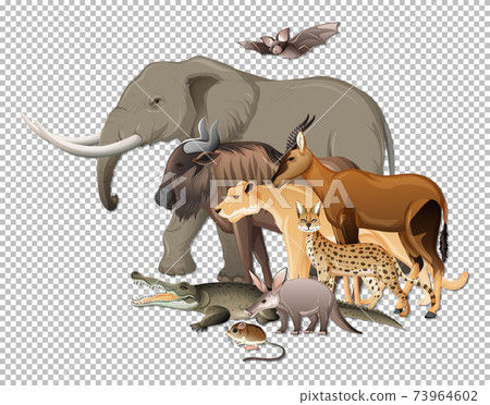 Group of wild african animals on transparent background 73964602