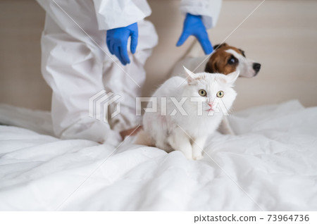 A woman in a protective suit is holding a dog and a cat 73964736