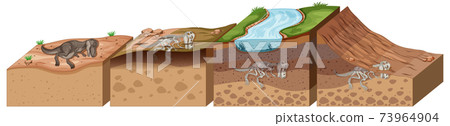 Soil layers with dinosaur fossil Soil layers with dinosaur fossil 73964904