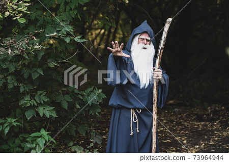 A wizard with a long gray beard casts a spell in a dense forest A wizard with a long gray beard casts a spell in a dense forest 73964944