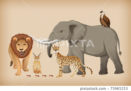 Group of wild animal on background 73965253