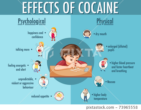 Effects of cocaine information infographic Effects of cocaine information infographic 73965558
