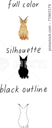 Set of caracal in color, silhouette and black outline on white background 73965579