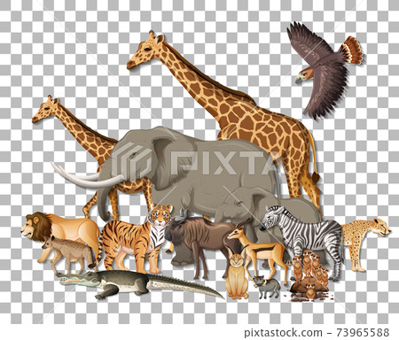 Group of wild african animals on transparent background 73965588