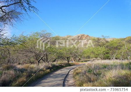 Scenery from Diamond Head in Hawaii 73965754