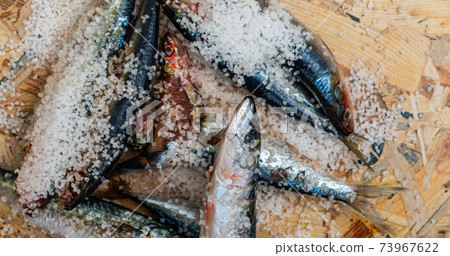 Whole raw organic mackerel fish with sea salt lying on a flat surface Whole raw organic mackerel fish with sea salt lying on a flat surface 73967622