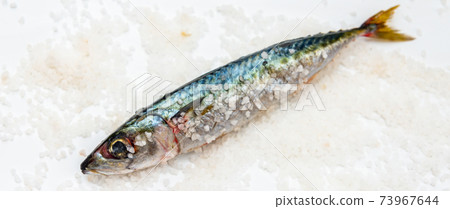 Whole raw organic mackerel fish with sea salt lying on a flat surface 73967644