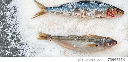 Whole raw organic mackerel fish with sea salt lying on a flat surface Whole raw organic mackerel fish with sea salt lying on a flat surface 73967654