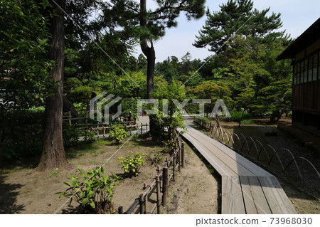 池塘泉水漫步花園,藥草田旁的鳥兒的聲音迴盪 池塘泉水漫步花園,藥草田旁的鳥兒的聲音迴盪 73968030