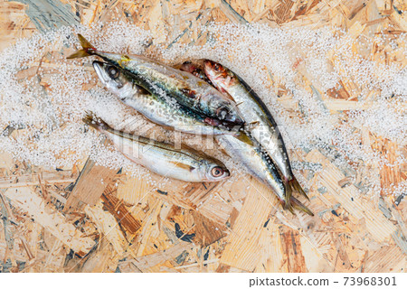 Whole raw organic mackerel fish with sea salt lying on a flat surface Whole raw organic mackerel fish with sea salt lying on a flat surface 73968301