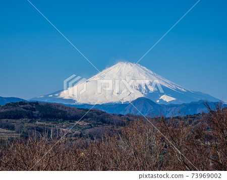 吾妻山公園的早春藍天富士山 73969002