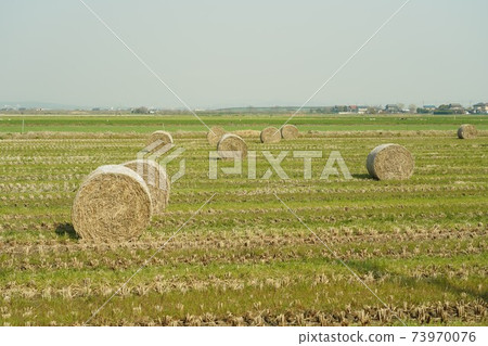 Straw Roll Straw Roll 73970076