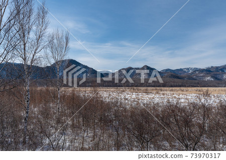 千葉原原奧庫日光千葉原原山奧庫日光chi木縣日光市山森林自然雲山冬季冬季山針葉樹雪 73970317