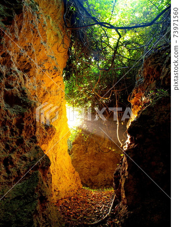 清晨陽光照進半屏山石灰岩洞 清晨陽光照進半屏山石灰岩洞 73971560
