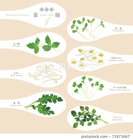 藥用調味品/中草藥/一勺插圖8 73971667