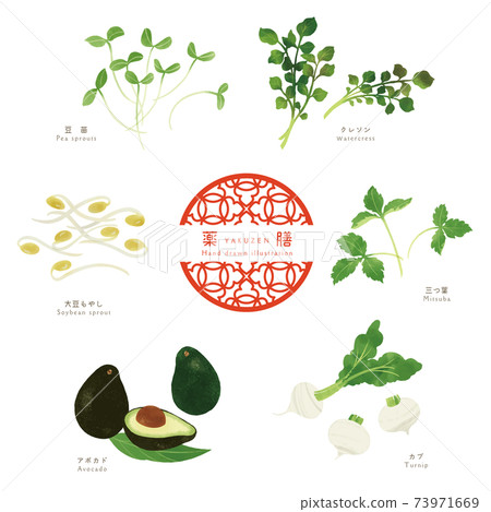 Hand-drawn illustrations of medicinal ingredients / flavored vegetables 73971669