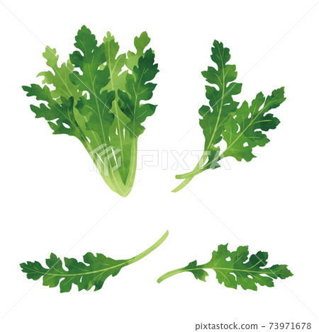 手繪插圖的花環菊花 手繪插圖的花環菊花 73971678