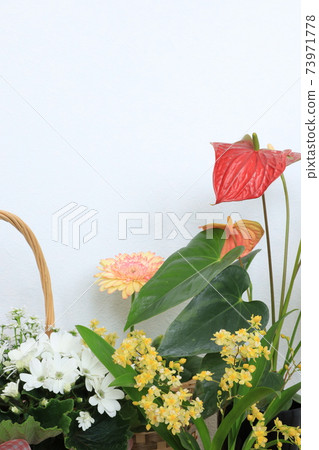 Room with flowers 73971778