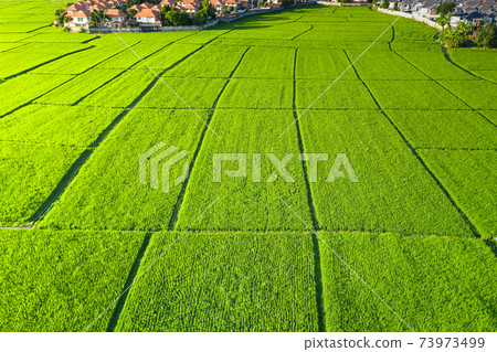 Land plot and green field in aerial view. Land plot and green field in aerial view. 73973499