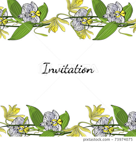 Card template with floral motif, white background Card template with floral motif, white background 73974075