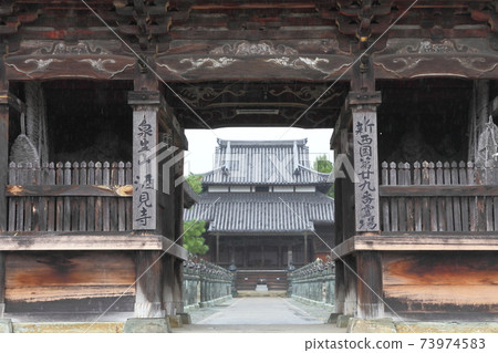 Sakarigi Sakarigi 73974583