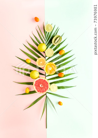 Tropical layout made of green palm leaf and fruits on colorful background. Food concept. flat lay, top view Tropical layout made of green palm leaf and fruits on colorful background. Food concept. flat lay, top view 73976981