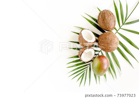 Tropical green palm leaf and cracked coconut on white background. Nature concept. flat lay, top view Tropical green palm leaf and cracked coconut on white background. Nature concept. flat lay, top view 73977023