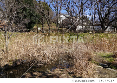 January Koganei 121 Hake (Dojo Pond) spring water, Biotov 73977937