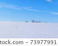Hokkaido, snowfields and animal footprints 73977991