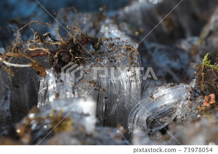 Needle ice on a winter morning Needle ice on a winter morning 73978054