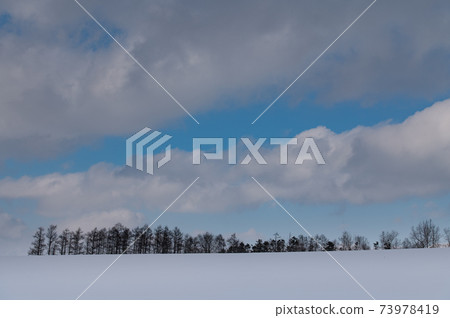 一月雪場風光，美麗的雲彩在美瑛 73978419