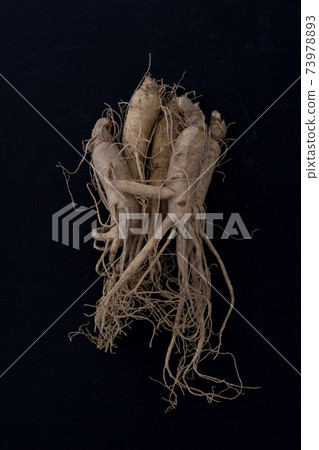 There are several ginsengs together on a black background There are several ginsengs together on a black background 73978893