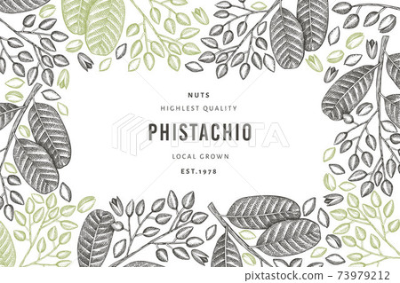 Hand drawn phistachio branch and kernels design template. Organic food vector illustration on white background. Retro nut illustration. Engraved style botanical banner. 73979212