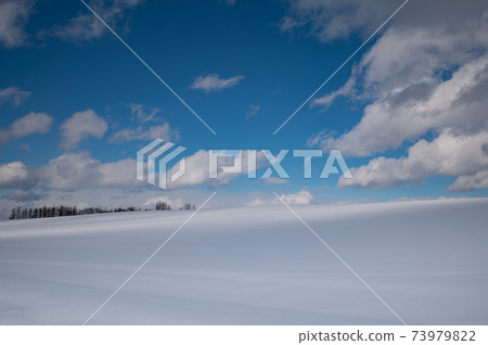 一月美瑛雪原在晴朗的天空下 一月美瑛雪原在晴朗的天空下 73979822