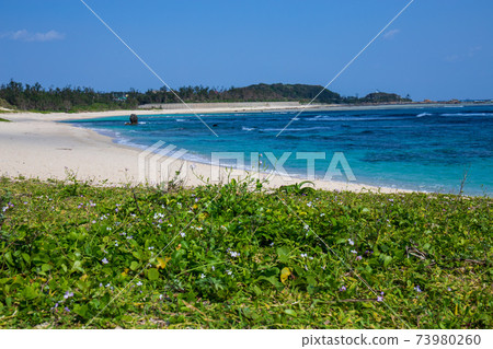 Blue sky, blue sea, white sand beach and fresh green Blue sky, blue sea, white sand beach and fresh green 73980260
