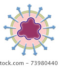 Coronavirus II illustration 73980440