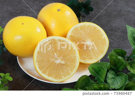 柚子 柚子 73980487