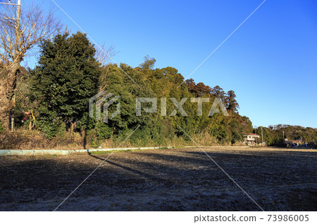 Rice fields in Maioka Park in the original scenery of Totsuka Ward, Yokohama City, Kanagawa Prefecture (winter edition) Rice fields in Maioka Park in the original scenery of Totsuka Ward, Yokohama City, Kanagawa Prefecture (winter edition) 73986005