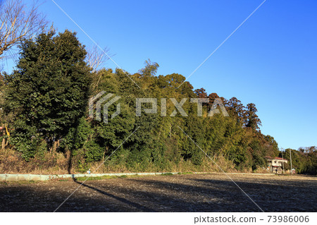 Rice fields in Maioka Park in the original scenery of Totsuka Ward, Yokohama City, Kanagawa Prefecture (winter edition) Rice fields in Maioka Park in the original scenery of Totsuka Ward, Yokohama City, Kanagawa Prefecture (winter edition) 73986006