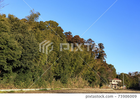 神奈川縣橫濱市戶塚區原始風景的舞岡公園的稻田(冬季版) 神奈川縣橫濱市戶塚區原始風景的舞岡公園的稻田(冬季版) 73986009