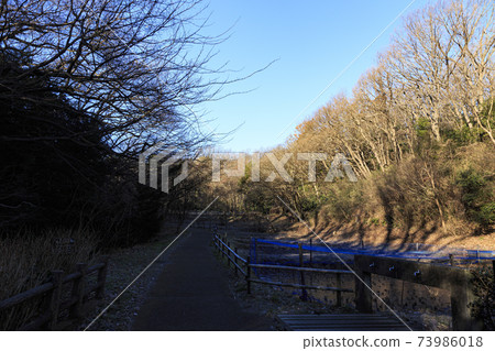 Rice fields in Maioka Park in the original scenery of Totsuka Ward, Yokohama City, Kanagawa Prefecture (winter edition) Rice fields in Maioka Park in the original scenery of Totsuka Ward, Yokohama City, Kanagawa Prefecture (winter edition) 73986018