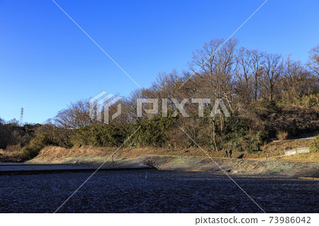 神奈川縣橫濱市戶塚區原始風景的舞岡公園的稻田（冬季版） 73986042