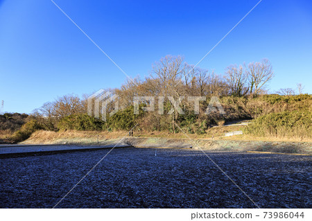 神奈川縣橫濱市戶塚區原始風景的舞岡公園的稻田（冬季版） 73986044